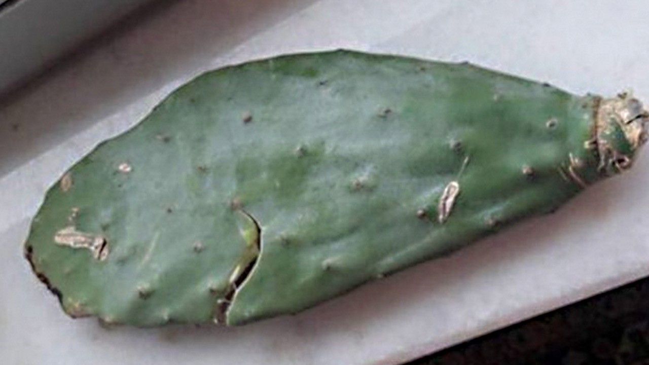 Topuk dikenine olabilecek en iyi çözüm var! Herkesin tercih ettiği önemli bir şifa kaynağı!