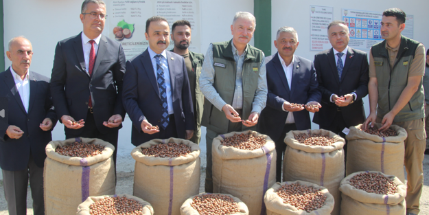 Topyekûn mücadele edersek kokarca problemini silip atarız