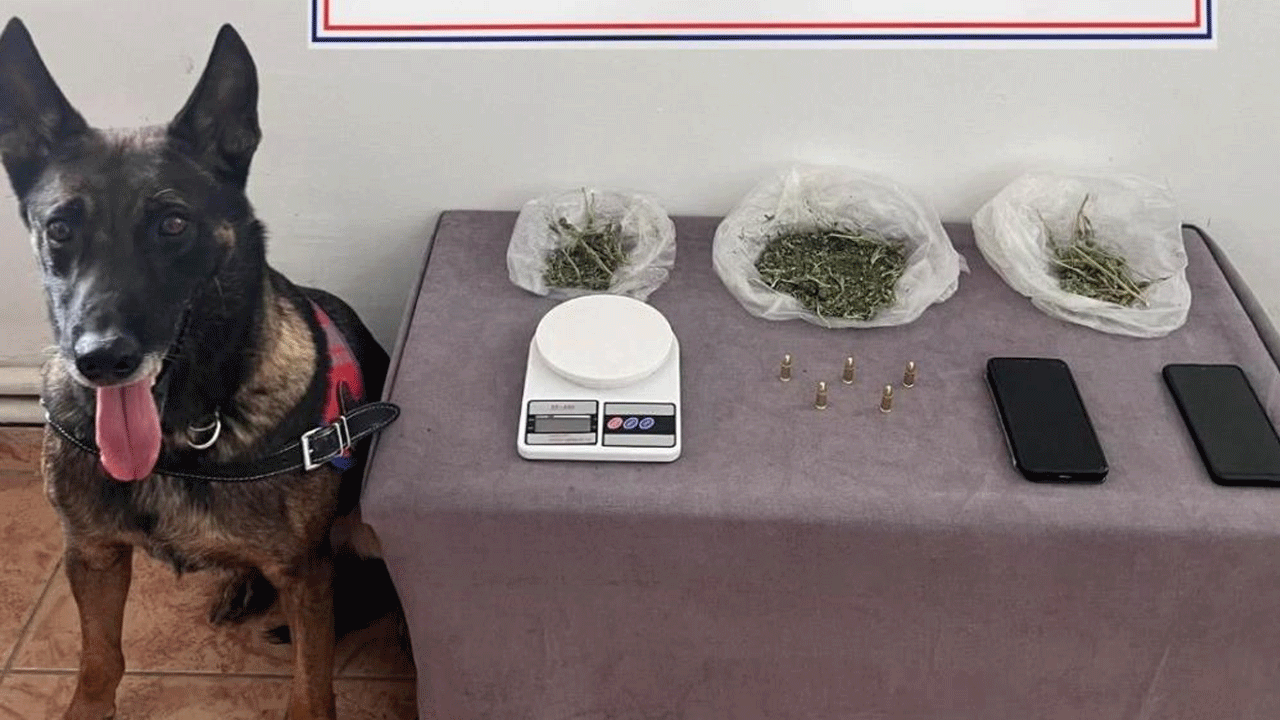 Torbacılara büyük operasyon: Çok sayıda gözaltı var