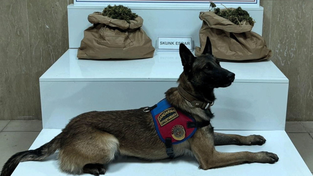 Torbacıya suçüstü