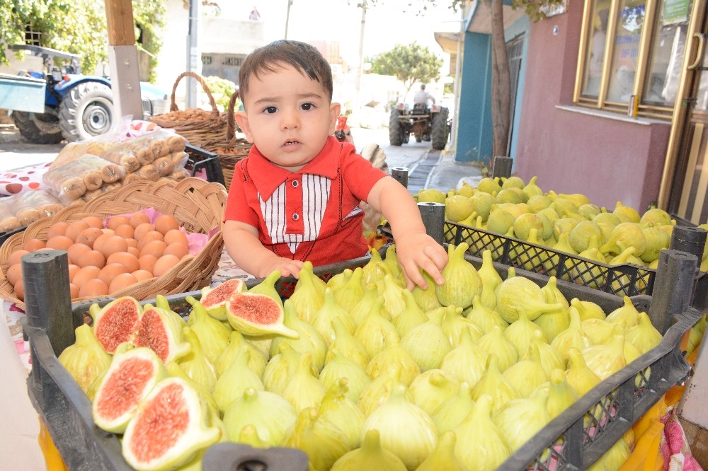 Torbalı, incir festivaliyle şenlendi, üreticiler bayram etti 