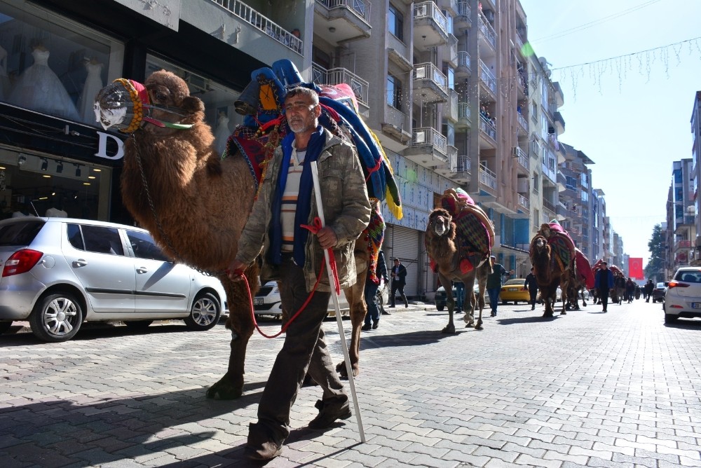 Torbalı’da develer kortej yürüyüşünde boy gösterdi 