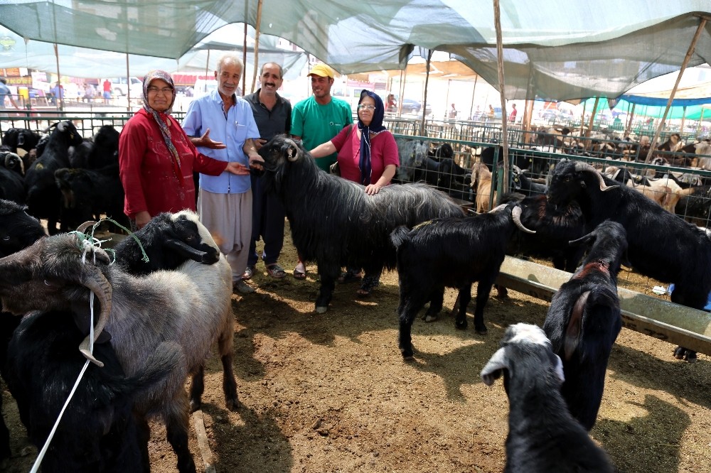 Toroslar’da bayram hazırlıkları tamamlandı 