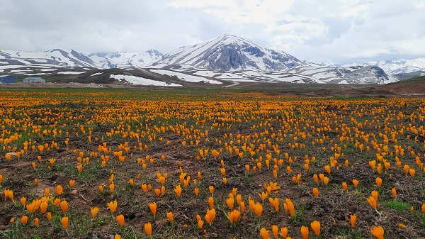 Toroslardan kartpostallık manzara