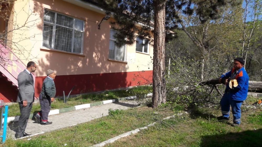 Tosya Belediyesi, mesire alanlarında bakıma çalışmalarını sürdürüyor 