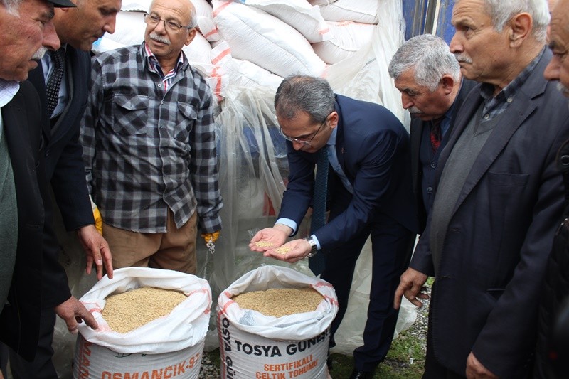 Tosya’da çiftçilere 24 ton çeltik tohumu dağıtıldı 