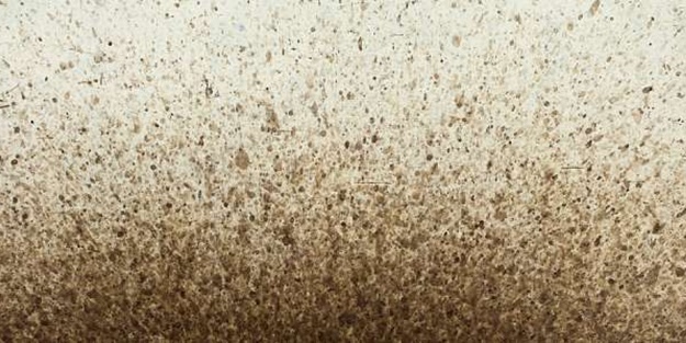 Toz yağmuru nimetmiş