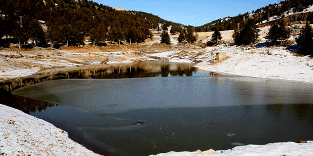 Tozlu Gölet'i buz tuttu