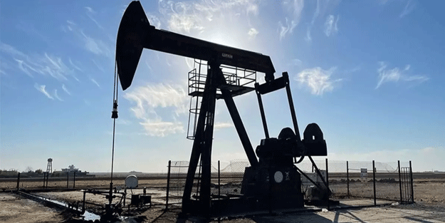 TPAO'dan 4 ilde petrol hamlesi!