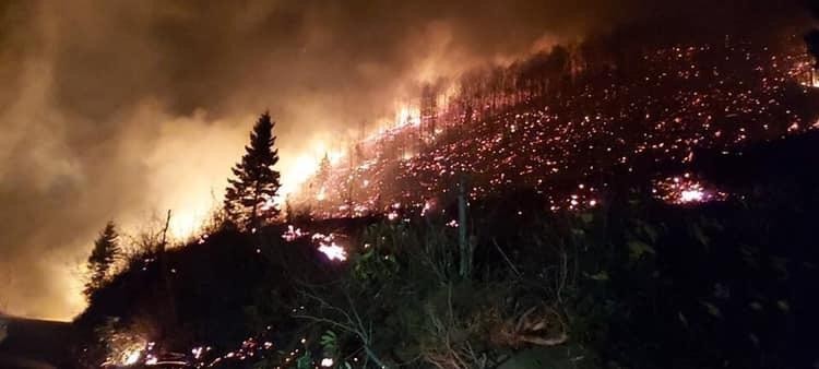 Trabzon ve Giresun’da orman yangınları 