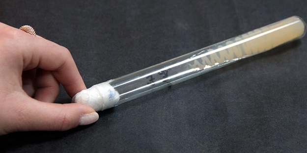 Trabzon ve Tunceli'de tespit edildi