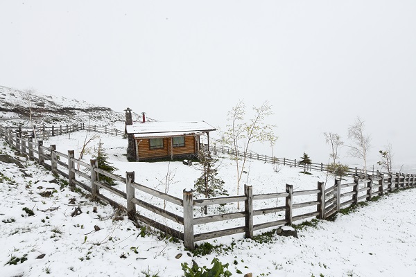 Trabzon yayalarında mayıs ayında kar manzaraları
