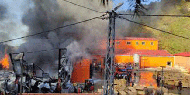 Trabzon'da balık fabrikasında yangın