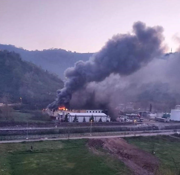 Trabzon’da balık fabrikasının soğuk hava deposunda yangın 