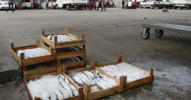 Trabzon’da balıkçılar umduklarını bulamadı