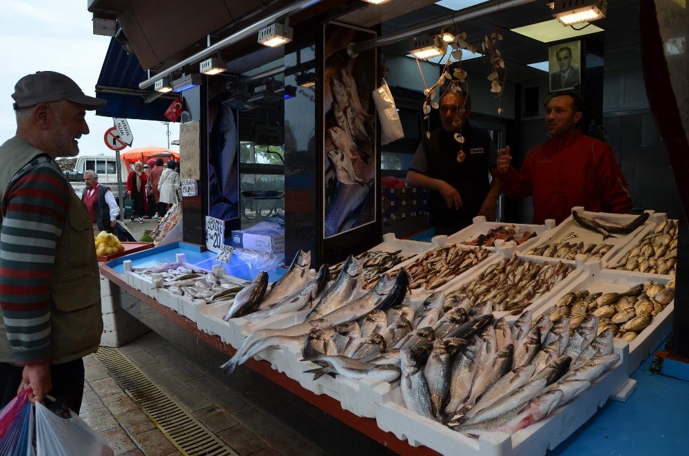 Trabzon’da denizden somon hasadı başladı 