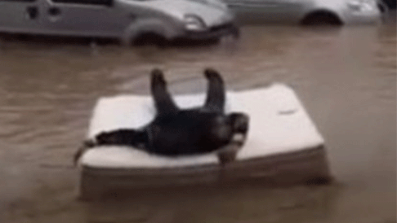 Trabzon'da göle dönen yolda yatak sefası yaptı!