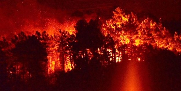 Trabzon'da orman yangını