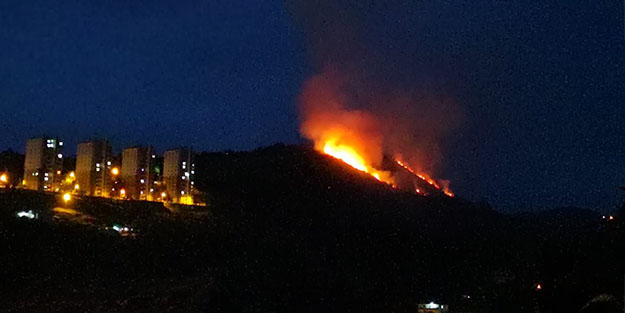 Trabzon'da orman yangını!