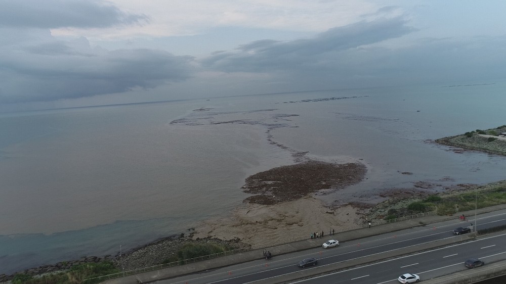Trabzon’da şiddetli yağışlar sonrası deniz çamura bulandı, derelerin getirdiği ağaç parçaları ile doldu 