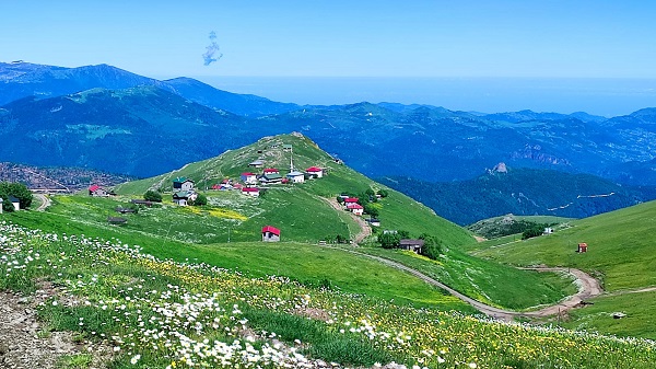 Trabzon'da yaylalar çiçek açtı