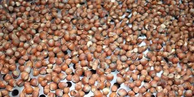 Trabzon'dan 2021 yılında rekor fındık ihracatı