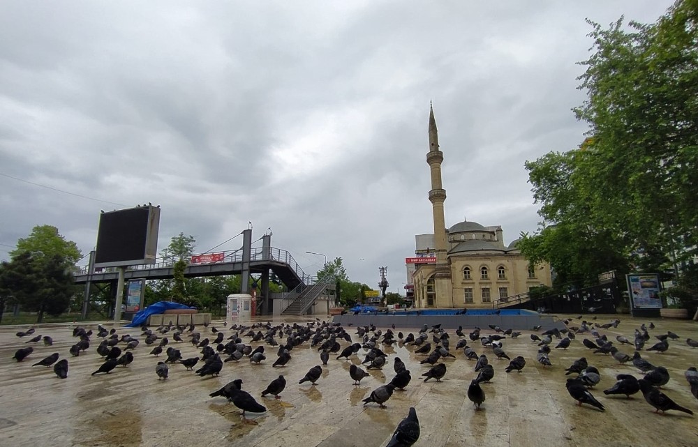 Trabzon’un Akçaabat ilçesinde meydan güvercinlere kaldı 