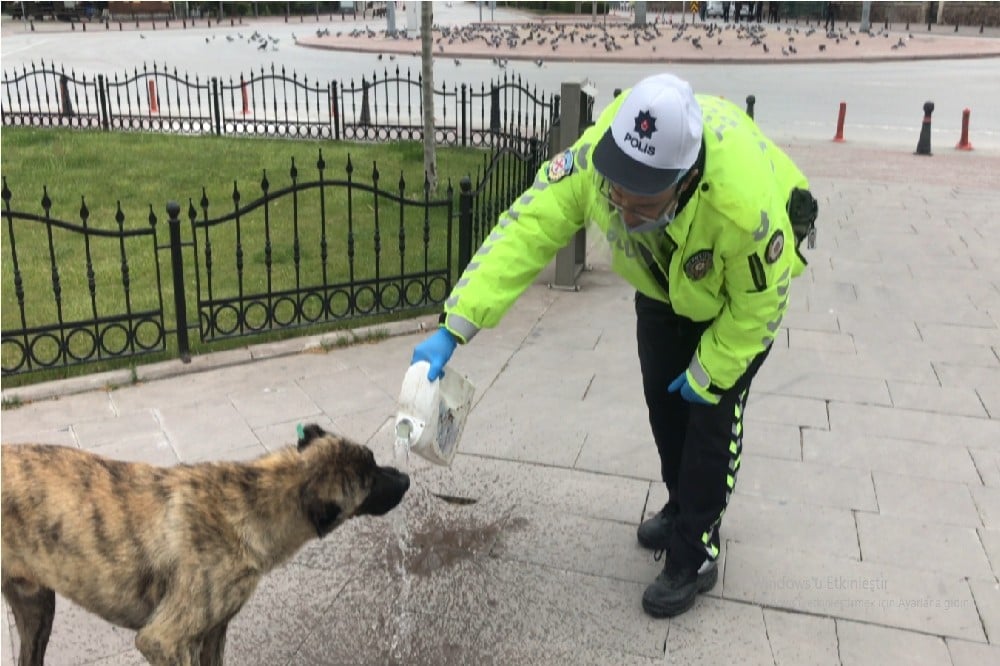 Trafik polisinin davranışı yürekleri ısıttı 