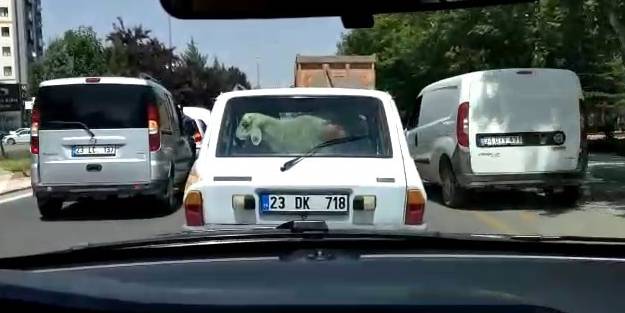Kurban Bayramı öncesi trafikte renkli görüntüler