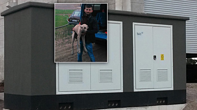 Trafoyu hırsızlara karşı koruyan köpeği çaldılar