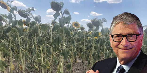 Trakya'daki istilayla ilgili bomba iddia