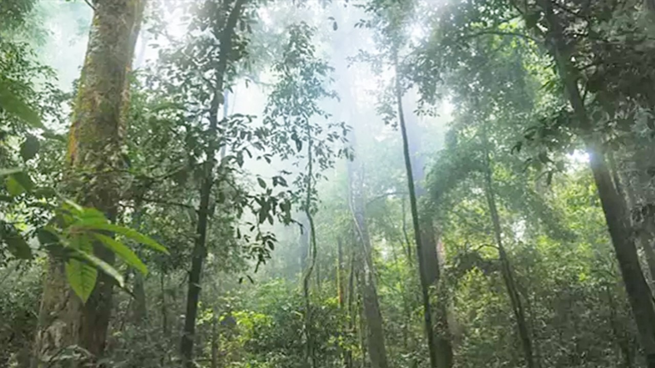 Tropikal hastalık salgınında hayatını kaybedenlerin sayısı artıyor