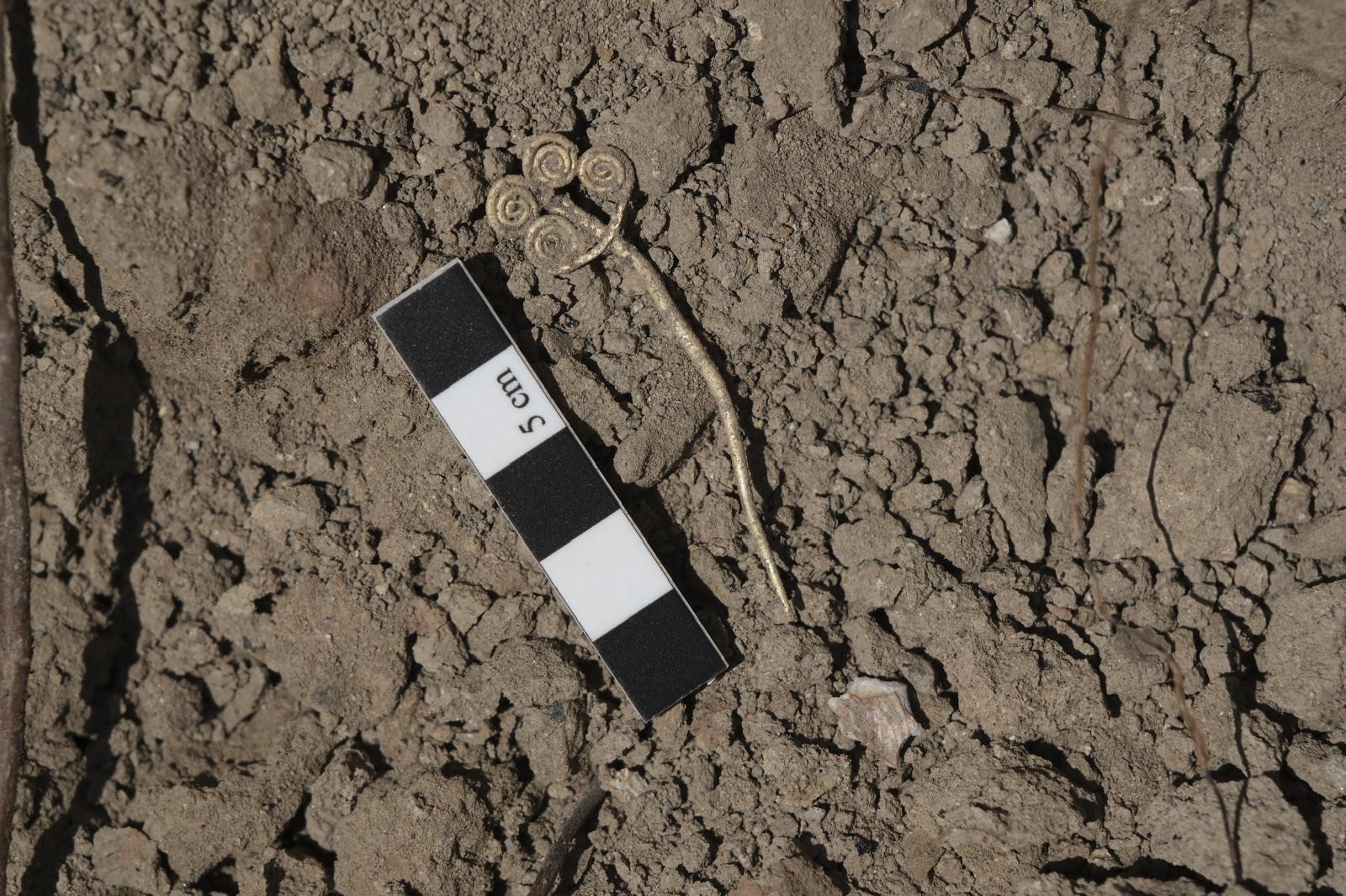 Troya’da nefes kesen keşif! 4 bin 500 yıllık altın broş bulundu