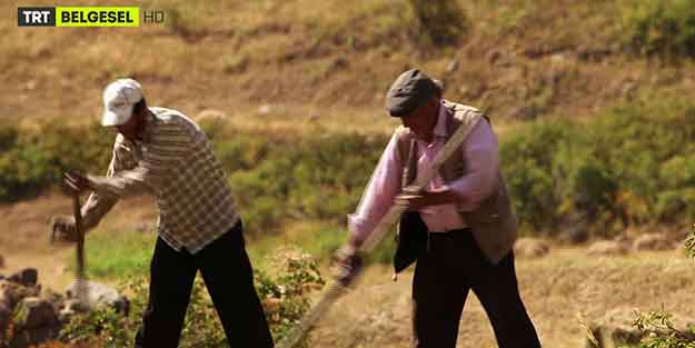 TRT Belgesel'de start verildi!