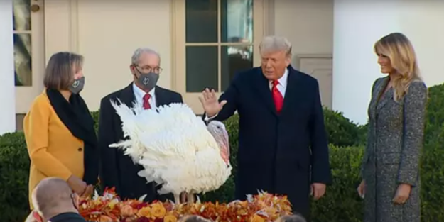 Trump, Mısır ve Koçan isimli iki hindiyi affetti