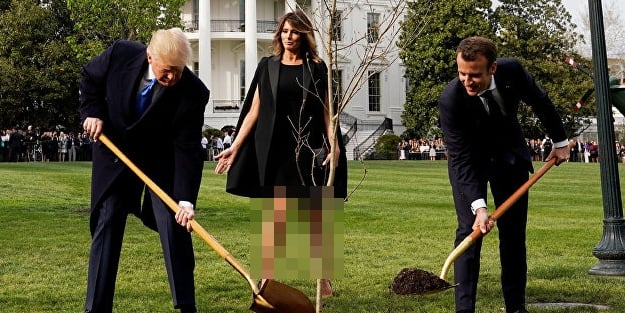 Trump ve Macron'un diktiği fidan kurudu