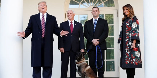 Trump'tan o köpeğe plaket ve madalya