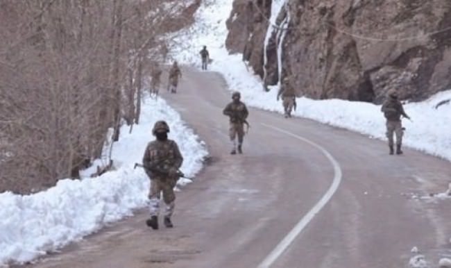 Mehmetçikten Tunceli ve Hakkari'de operasyon