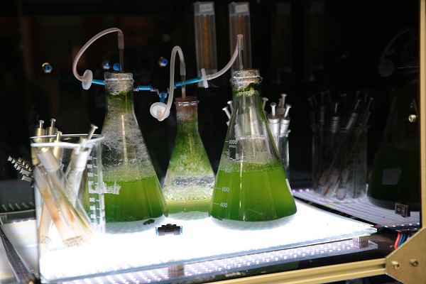 TÜBİTAK desteğiyle geliştirildi! Bakın bu güneş kreminin içinde ne var