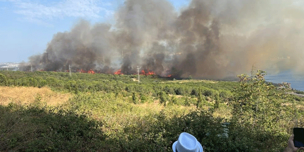 TÜBİTAK'ın ormanlık alanında yangın