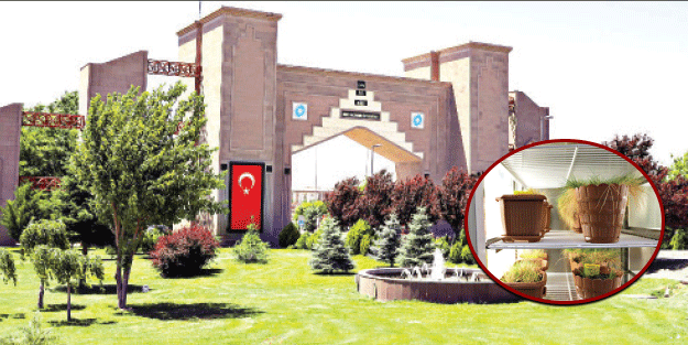 TÜBİTAK’tan Bitki projesine destek