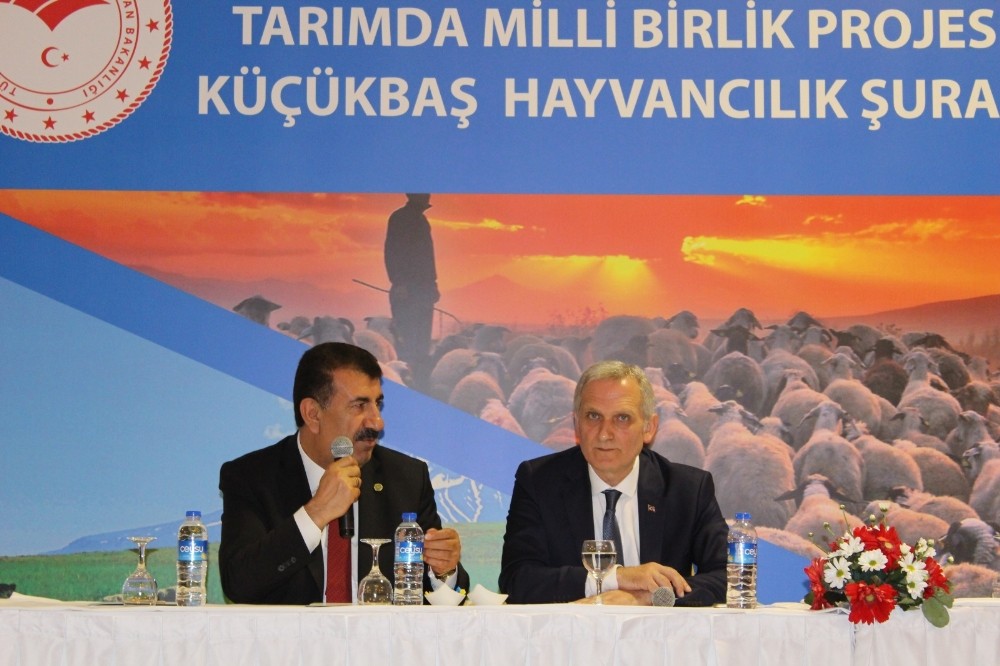 TÜDKİYEB Başkanı Çelik: 