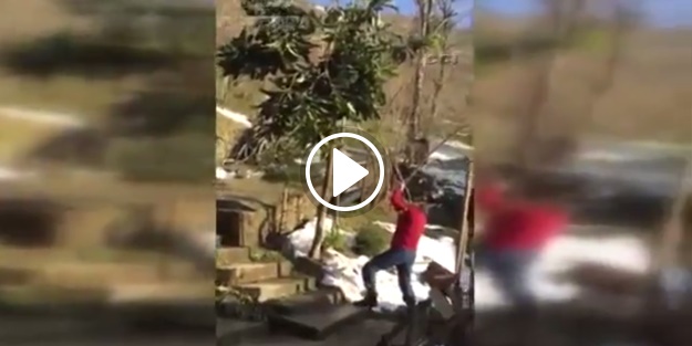 Tüfekle ağaç budayan adam