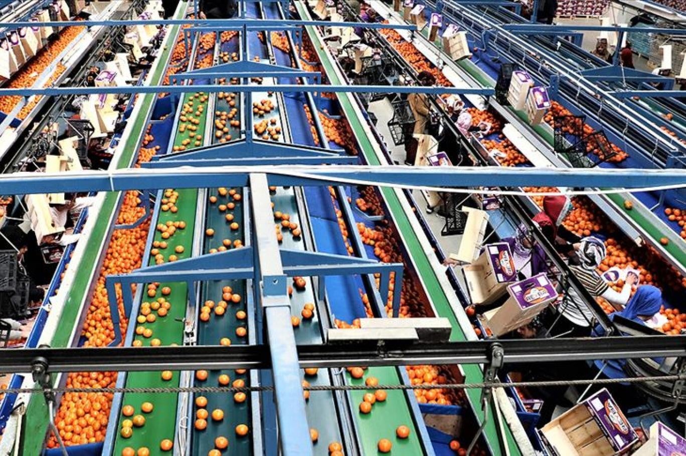 TÜGİS: “Türk gıda sanayisi 2025’te 160 milyar dolarlık hacmini korudu”