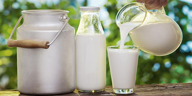 TÜİK açıkladı: Toplanan inek sütü miktarı temmuzda arttı!