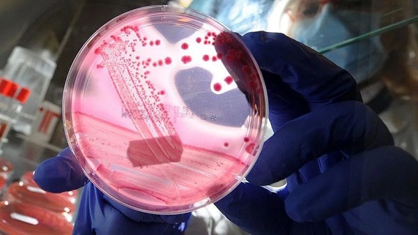 TÜİK açıklama yaptı! İşte Türkiye'nin kanser haritası