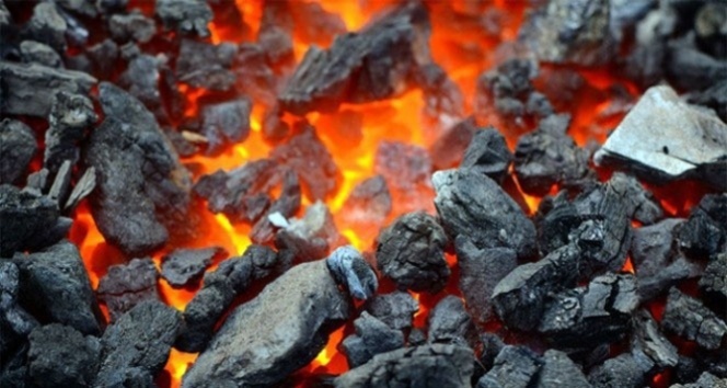 TÜİK, katı yakıt istatistiklerini açıkladı