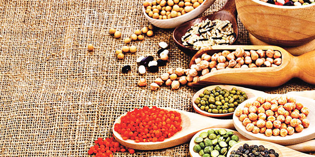 Tüketici kadar üretici de memnun! Bakliyatta sorun yok