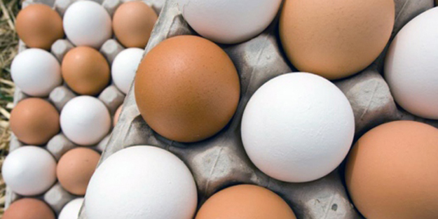 Tüketicinin yumurtada renk tercihi fiyata da yansıdı