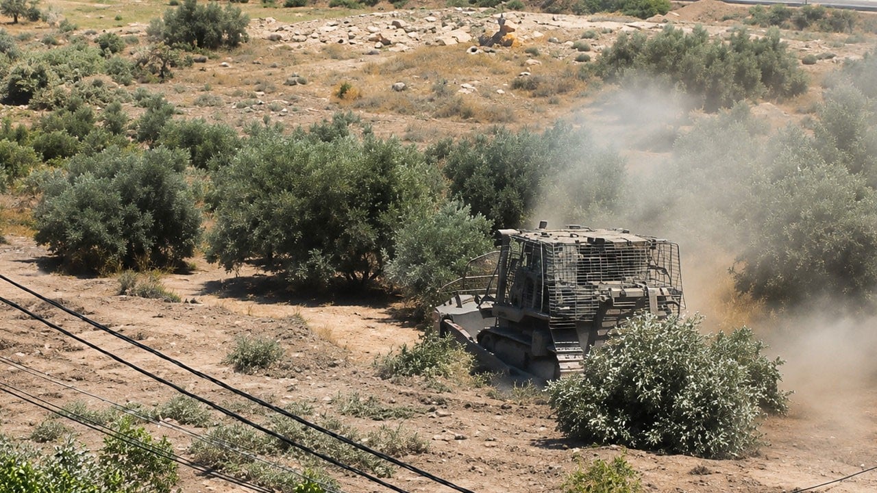 Tüm güzelliklere düşmanlar! İsrail yılların emeğini söktü attı